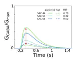 Model Quantification of Direction Selectivity in Starburst Amacrine Cells in the Mammalian Retina