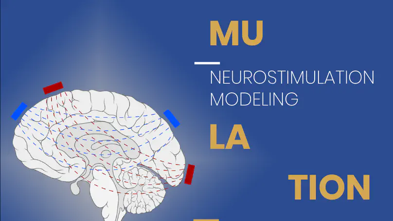 First ACIP Workshop: Neurostimulation Modeling