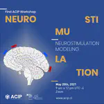 First ACIP Workshop: Neurostimulation Modeling
