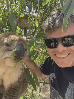 Meeting a Koala