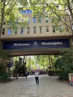 Sabbatical Year in Melbourne: Research, Collaboration, and Adventure