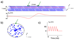 Neural modeling